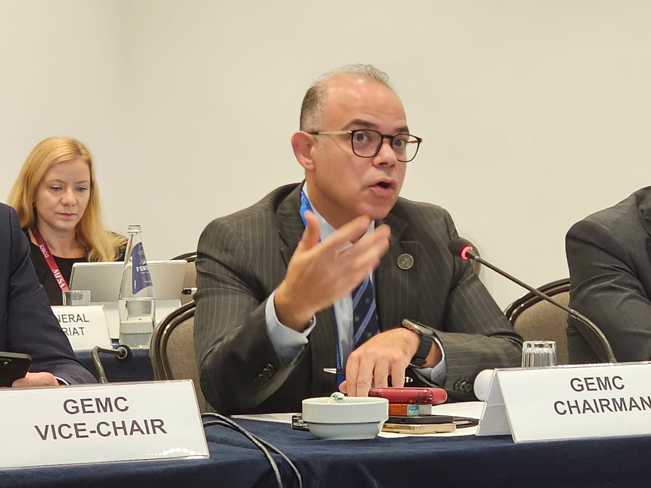 اجتماعات لجنة الأسواق المالية النامية والناشئة GEMC