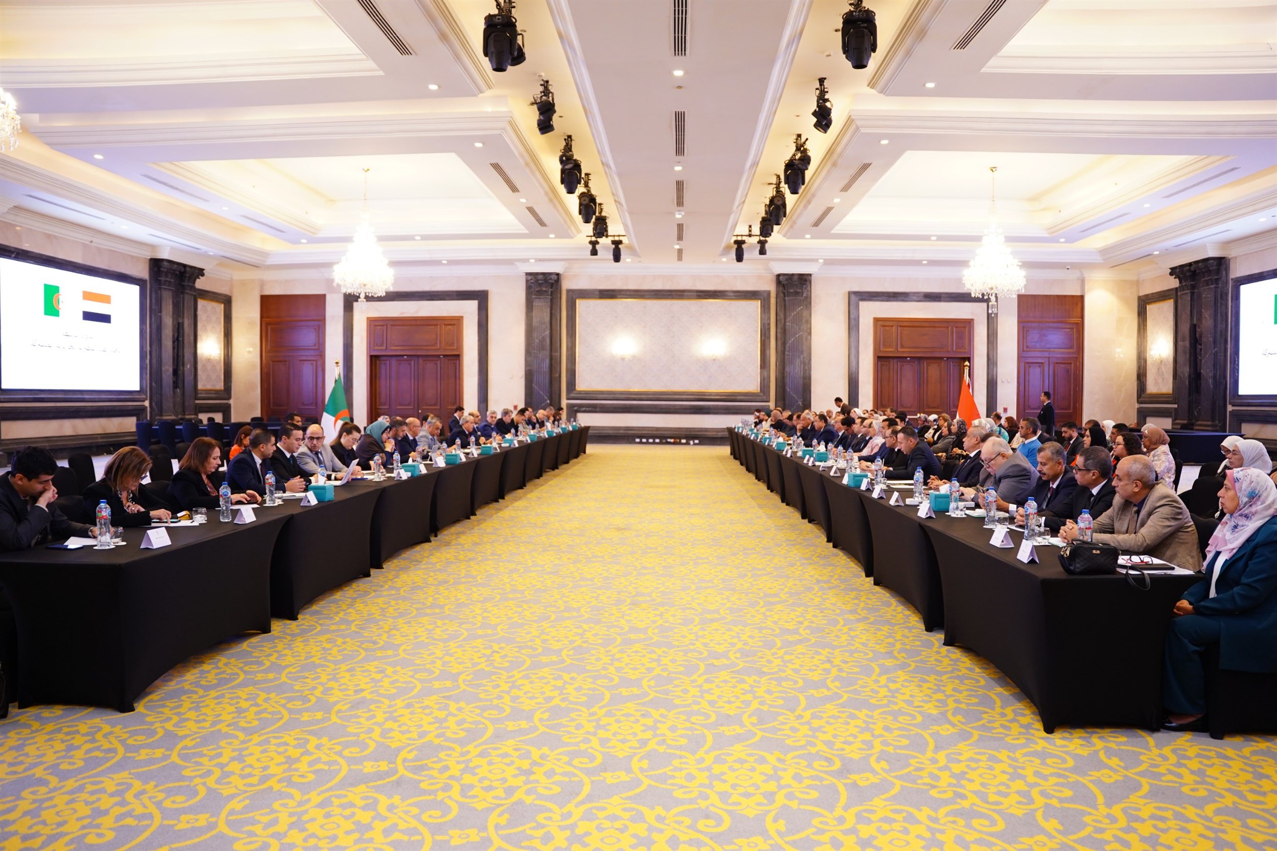 الاجتماعات التحضيرية للجنة العليا المصرية الجزائرية المشتركة