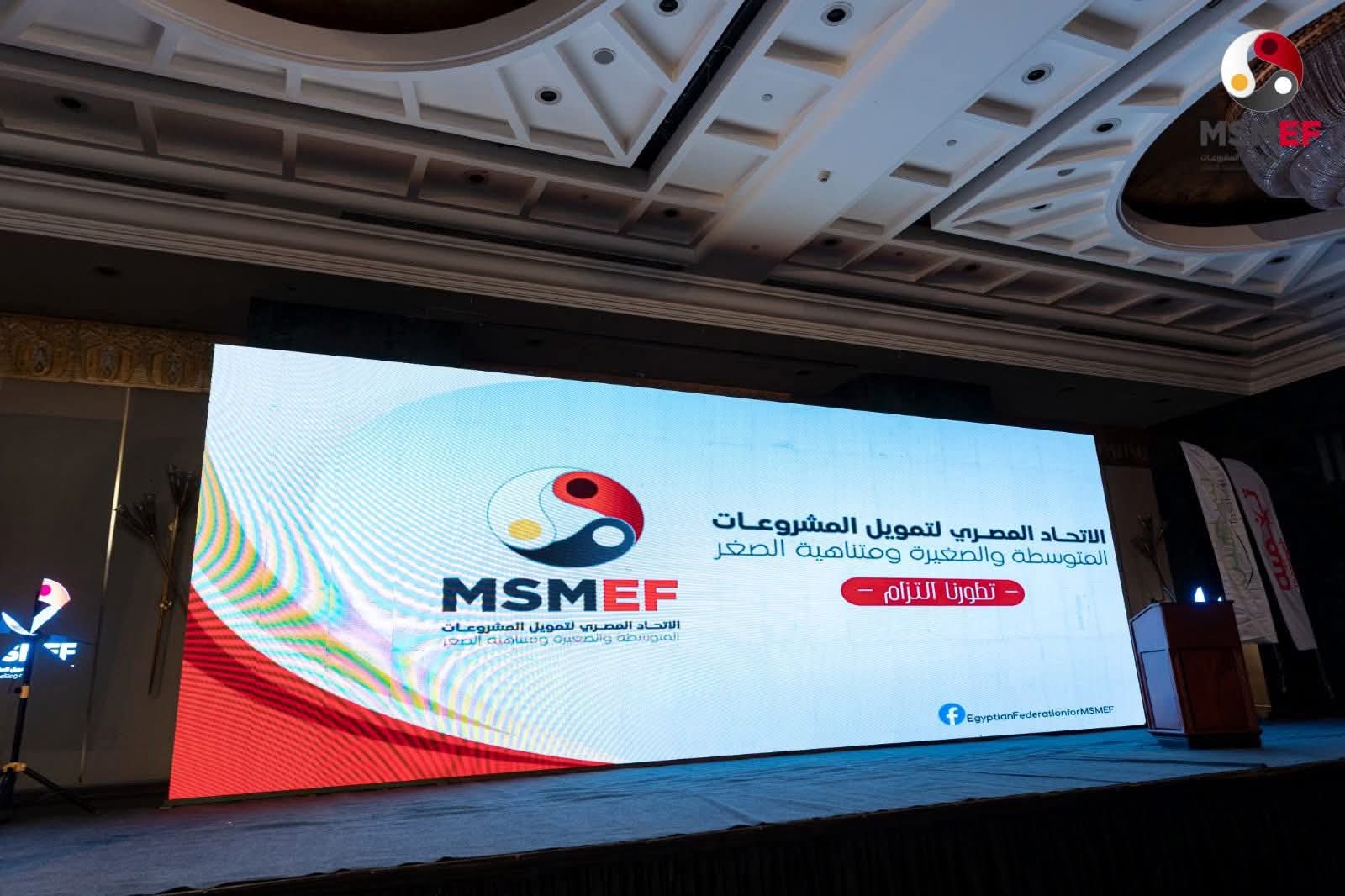 الاتحاد المصري لتمويل المشروعات المتوسطة والصغيرة ومتناهية الصغر