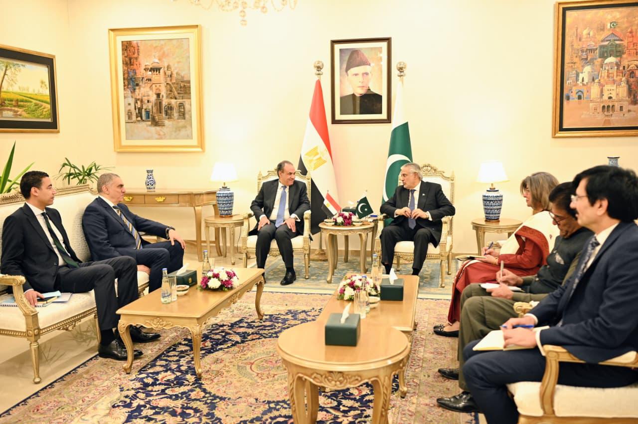 مشاورات سياسية بين وزيرى الخارجية المصرى والباكستاني