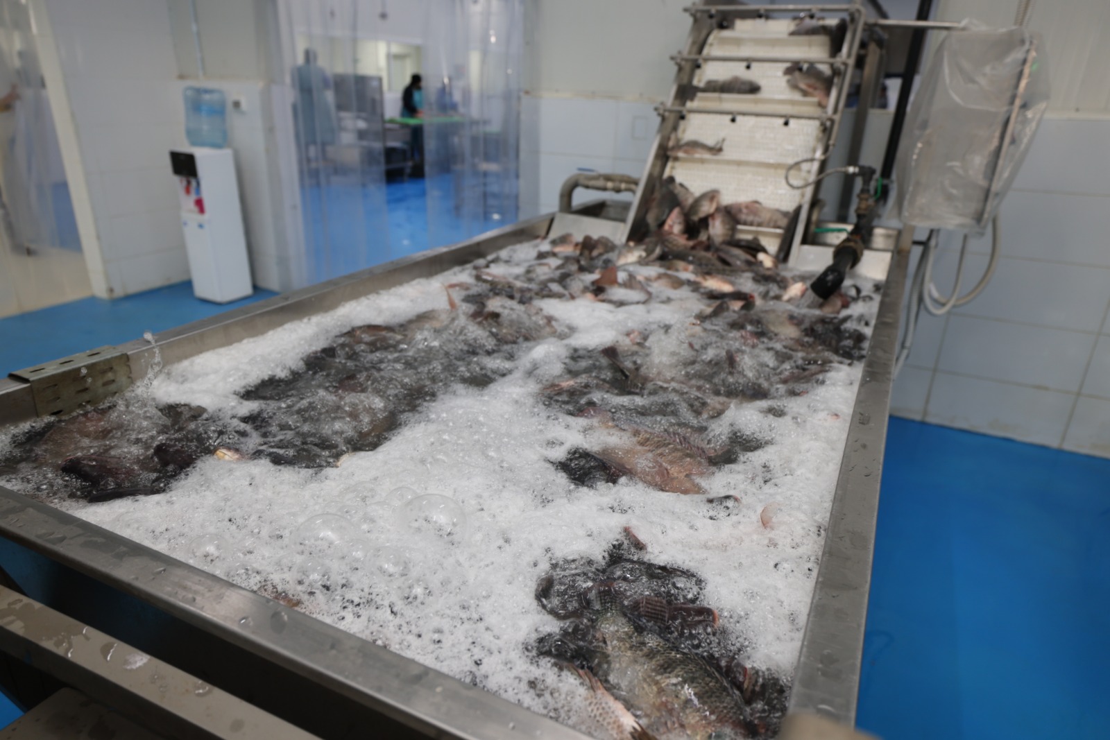 أسامة ربيع ومحافظ بورسعيد يتفقدان بعض المشروعات بالمحافظة