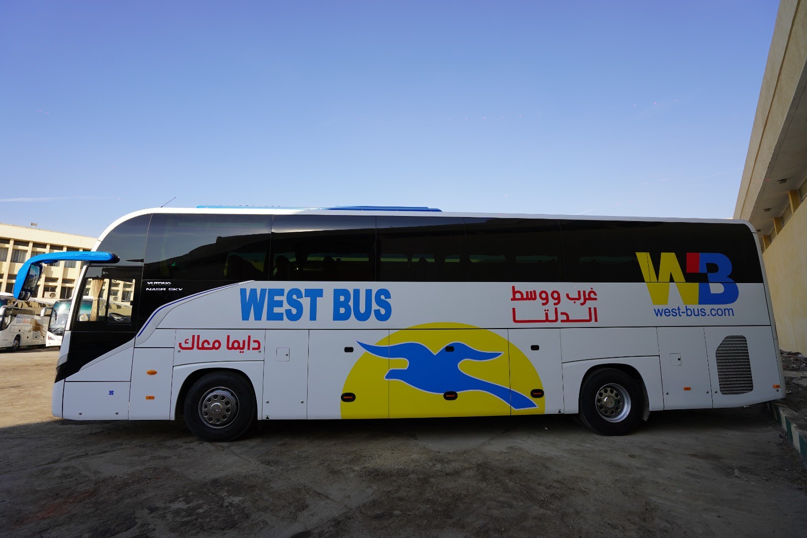 529 أتوبيس وميني باص جديد تدعم أسطول النقل المصري