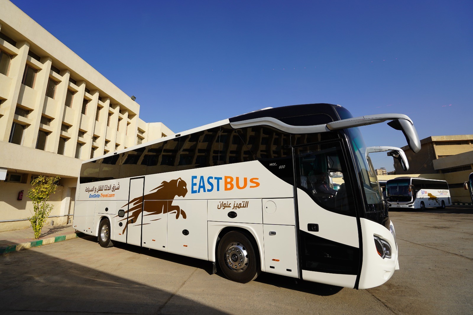 529 أتوبيس وميني باص جديد تدعم أسطول النقل المصري