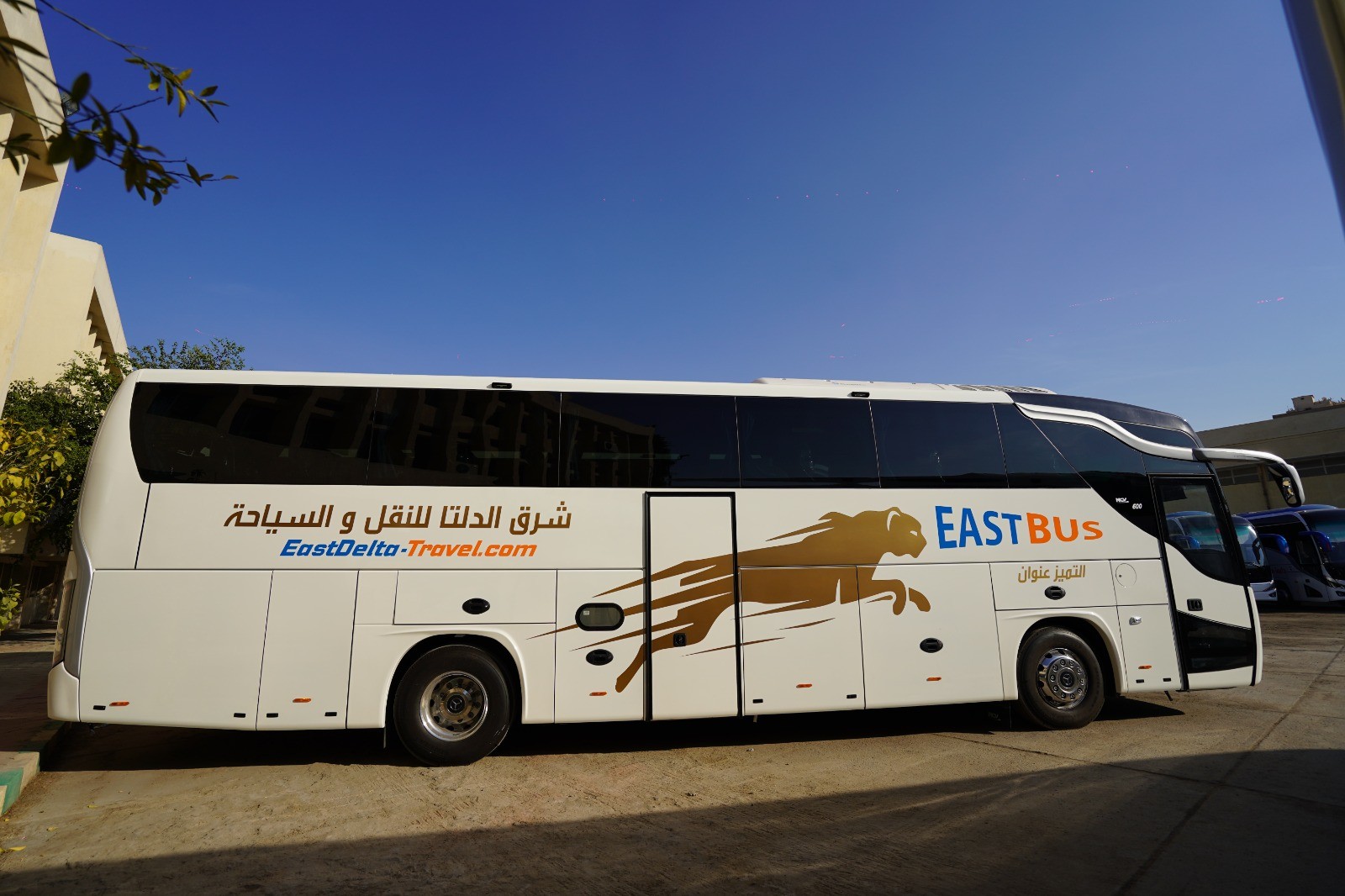 529 أتوبيس وميني باص جديد تدعم أسطول النقل المصري