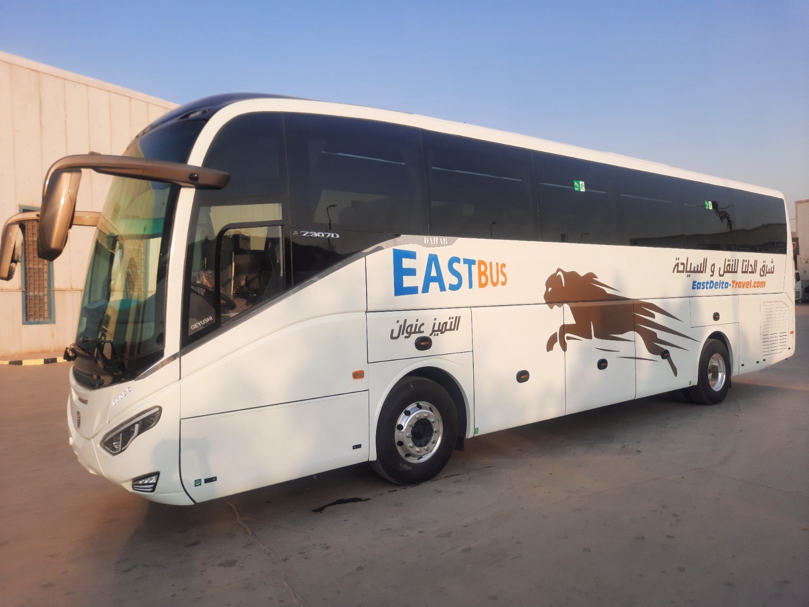 529 أتوبيس وميني باص جديد تدعم أسطول النقل المصري