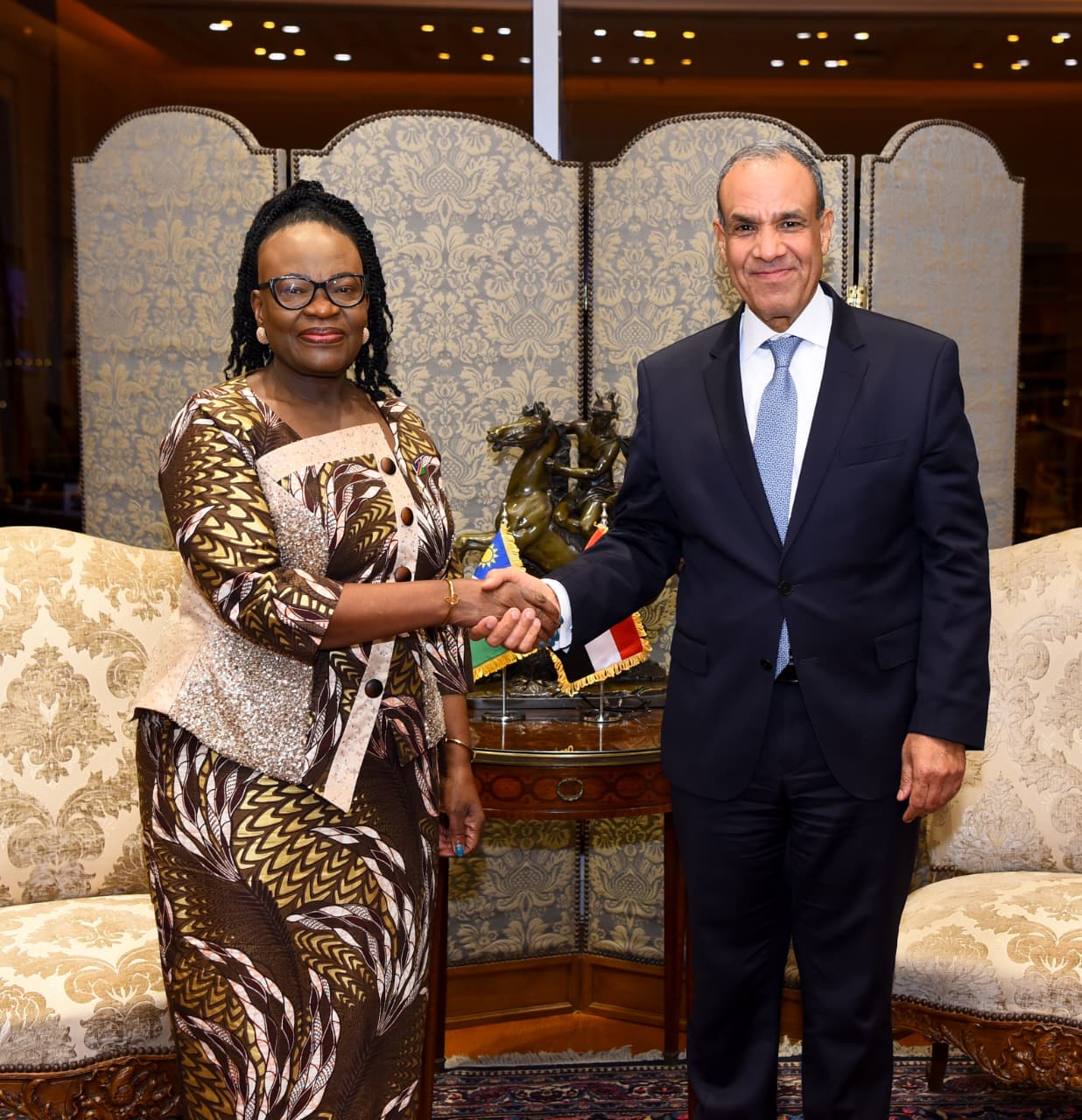 وزير الخارجية يلتقي وزيرة خارجية ناميبيا 