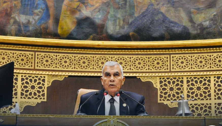 عصام فريد رئيس مجلس الشيوخ