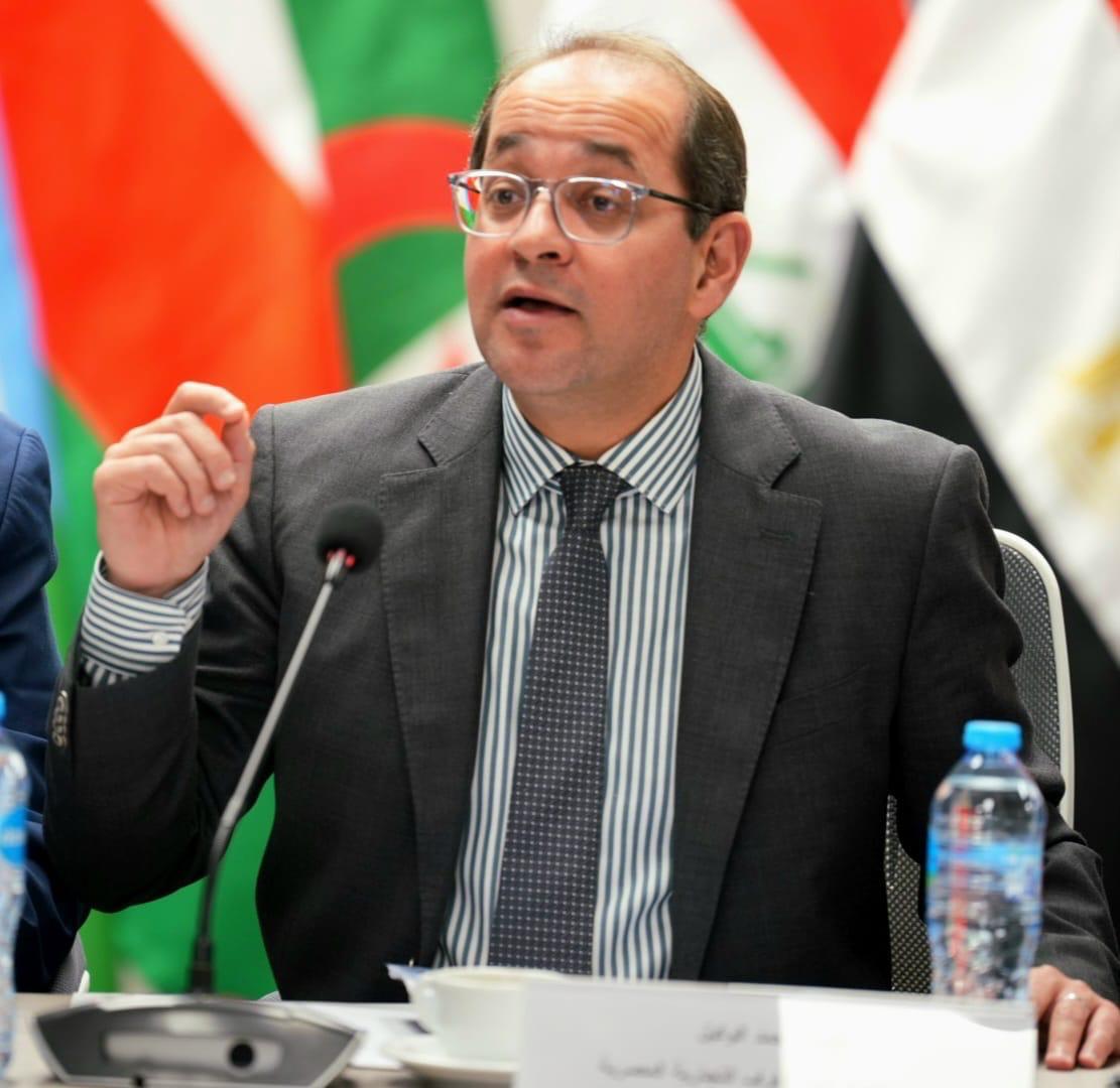 أحمد كجوك وزير المالية  