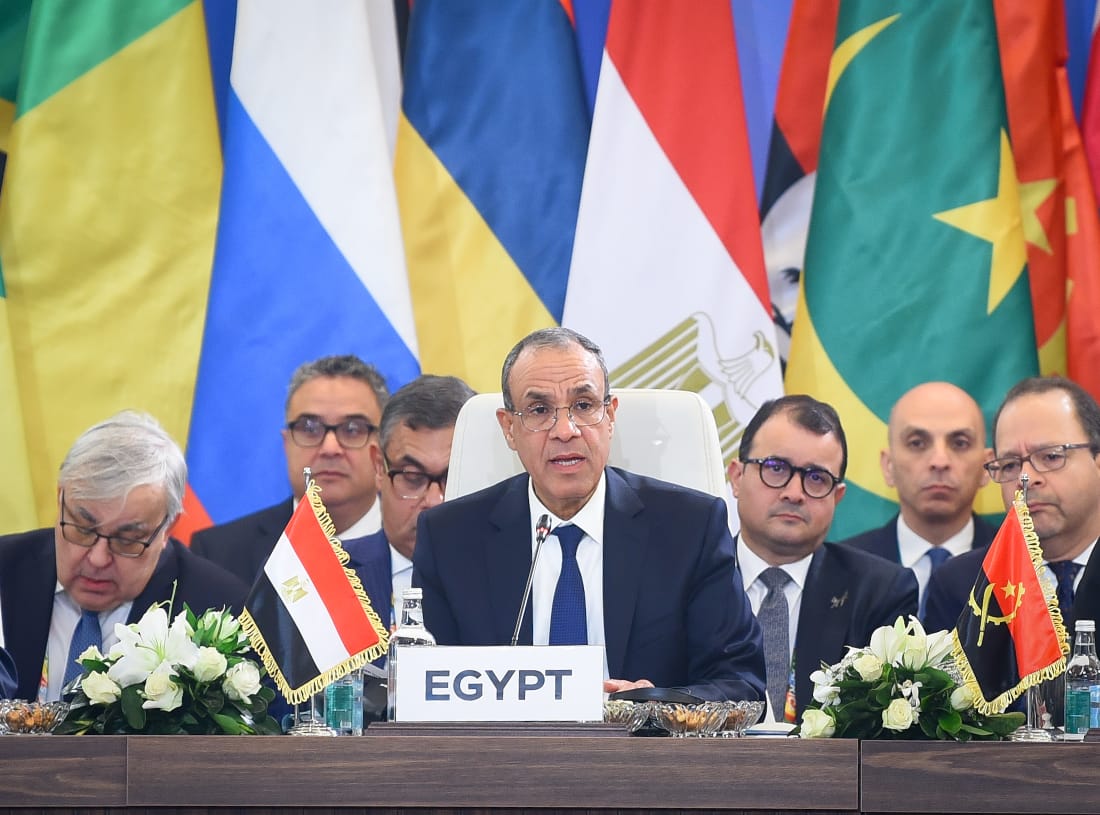 الدكتور بدر عبد العاطي وزير الخارجية والهجرة