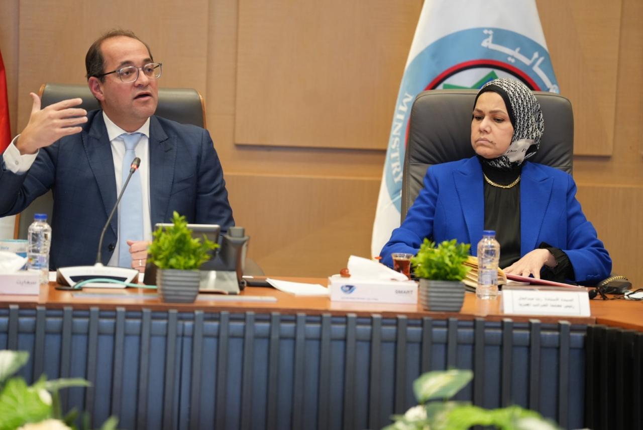 وزير المالية ورئيس مصلحة الضرائب المصرية