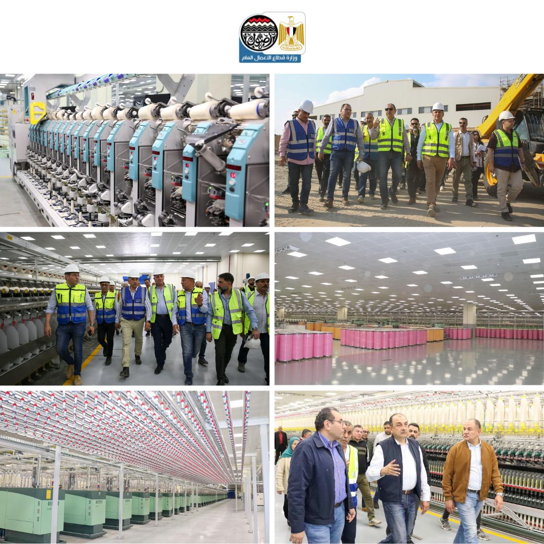 حصاد عام من الإنجازات لوزارة قطاع الأعمال العام في 2025