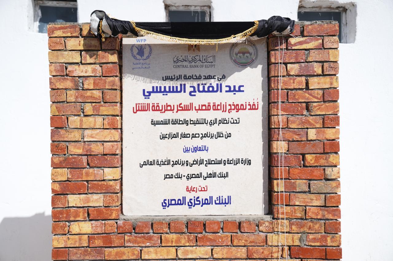 محافظ البنك المركزي ووزير الزراعة يتفقدان عدد من القرى بمحافظة أسوان