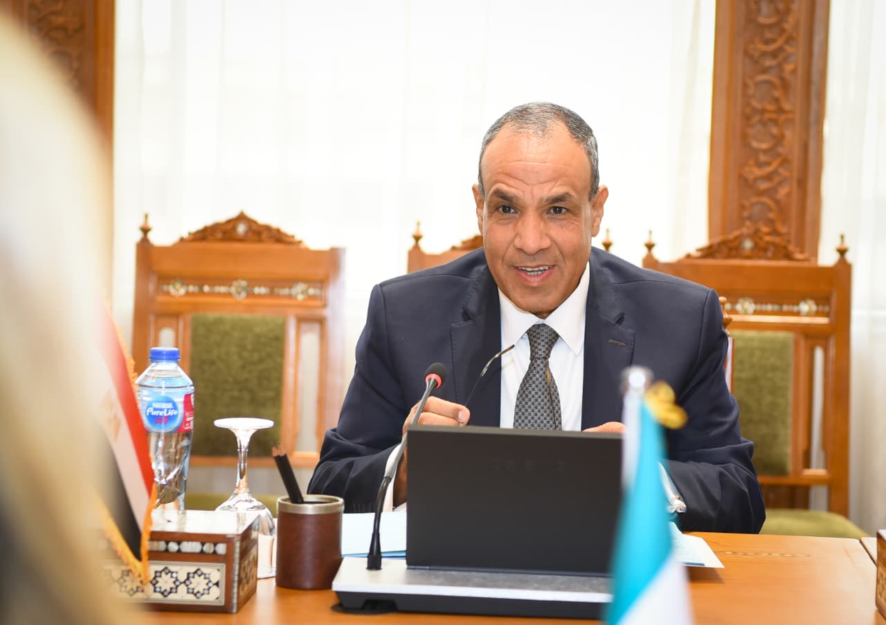 الدكتور بدر عبد العاطى وزير الخارجية والهجرة