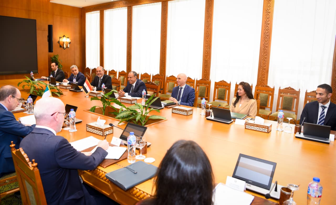 مشاورات سياسية بين مصر وإيرلندا