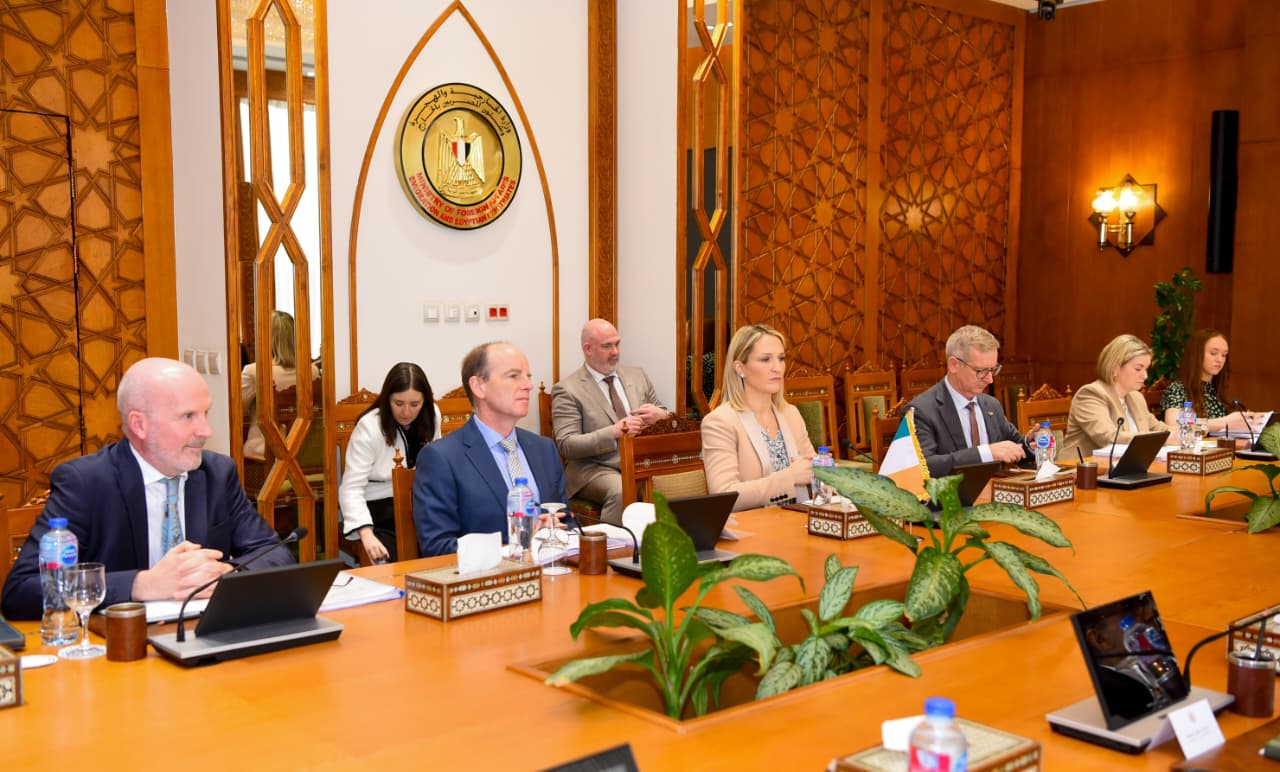 مشاورات سياسية بين مصر وإيرلندا