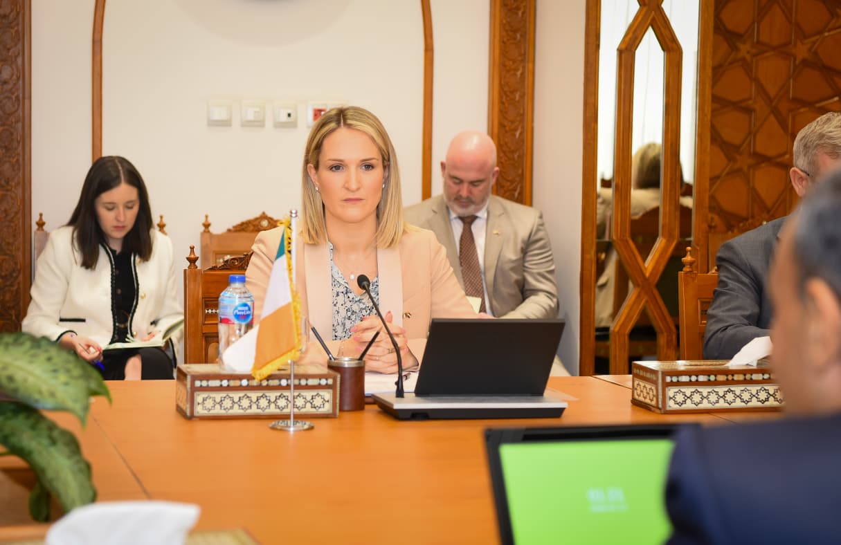 هيلين ماكينتي وزيرة الهجرة والتجارة والدفاع الأيرلندية