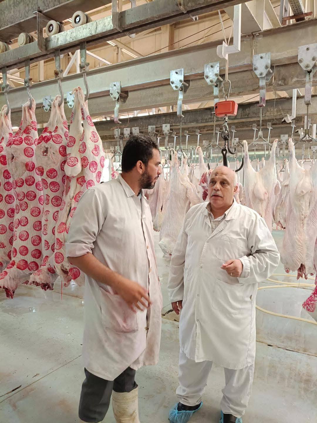 705 ألف رأس ماشية خلال النصف الثاني من 2025