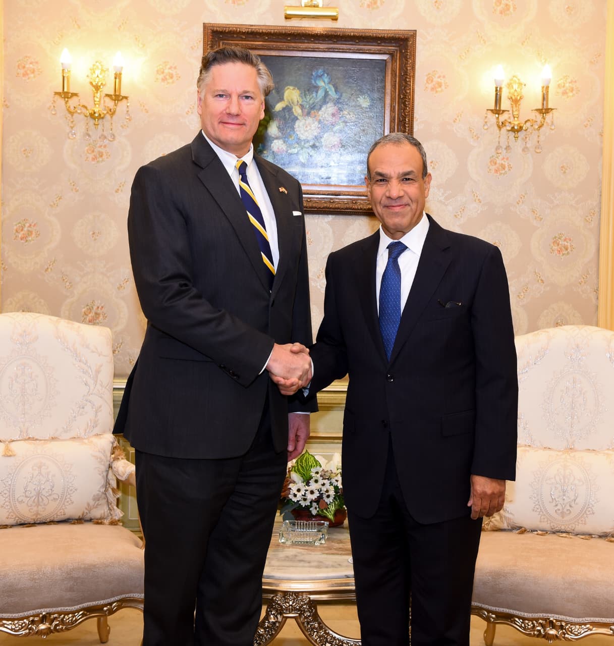 وزير الخارجية يستقبل نائب وزير الخارجية الامريكى