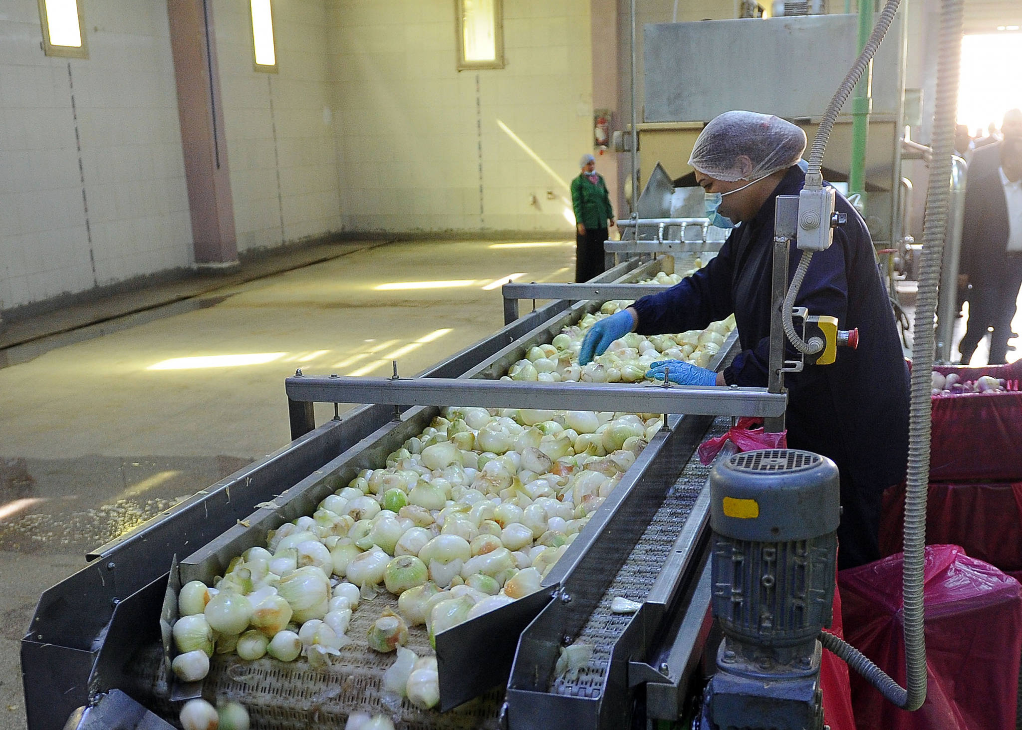 مدبولي يتفقد مصنع الشركة المتحدة لتجفيف الحاصلات الزراعية