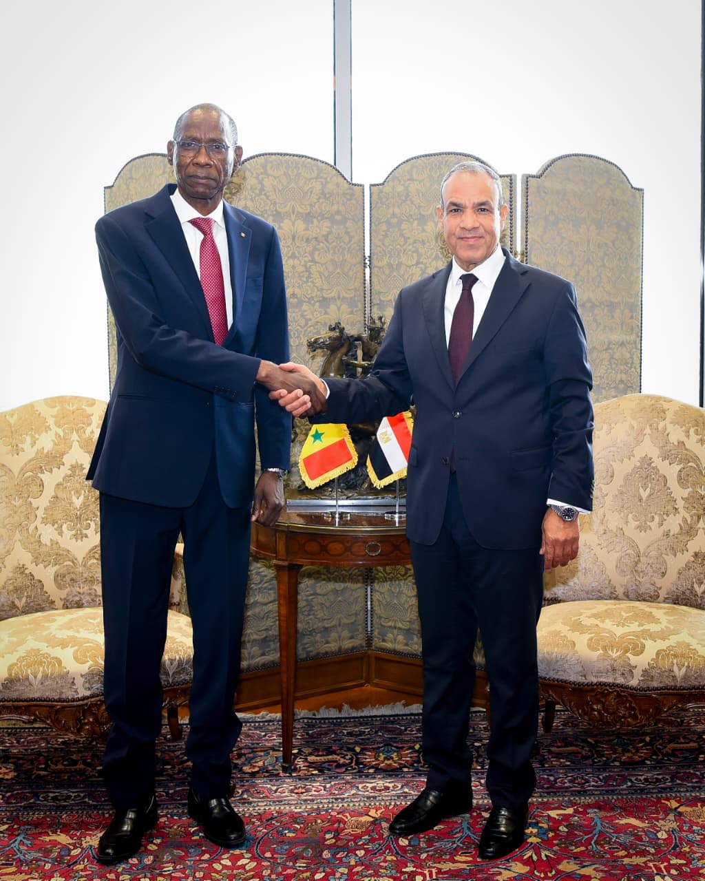وزير الخارجية يستقبل وزير التكامل الأفريقي والشئون الخارجية والسنغاليين في الخارج