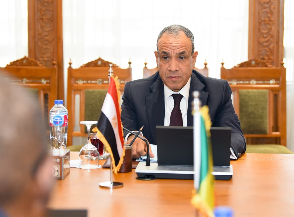 الدكتور بدر عبد العاطي وزير الخارجية والهجرة