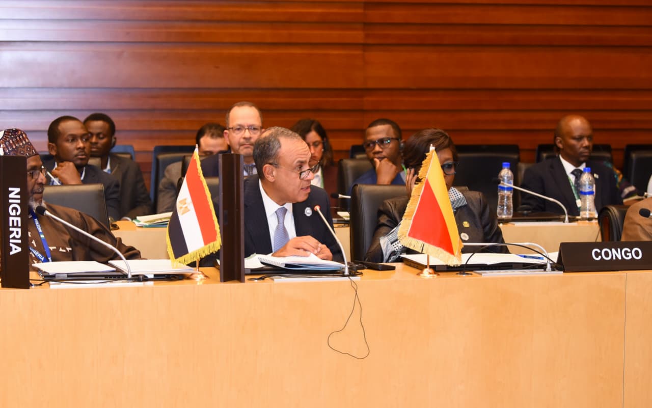 الدكتور بدر عبد العاطي وزير الخارجية