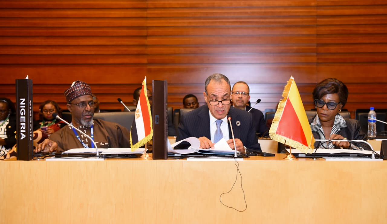 الدكتور بدر عبد العاطي وزير الخارجية