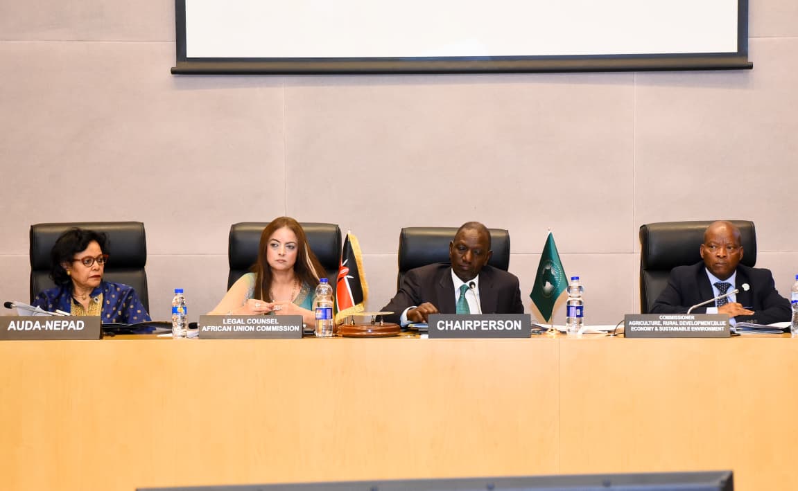 اجتماع لجنة رؤساء الدول والحكومات الأفارقة المعنية بتغير المناخ