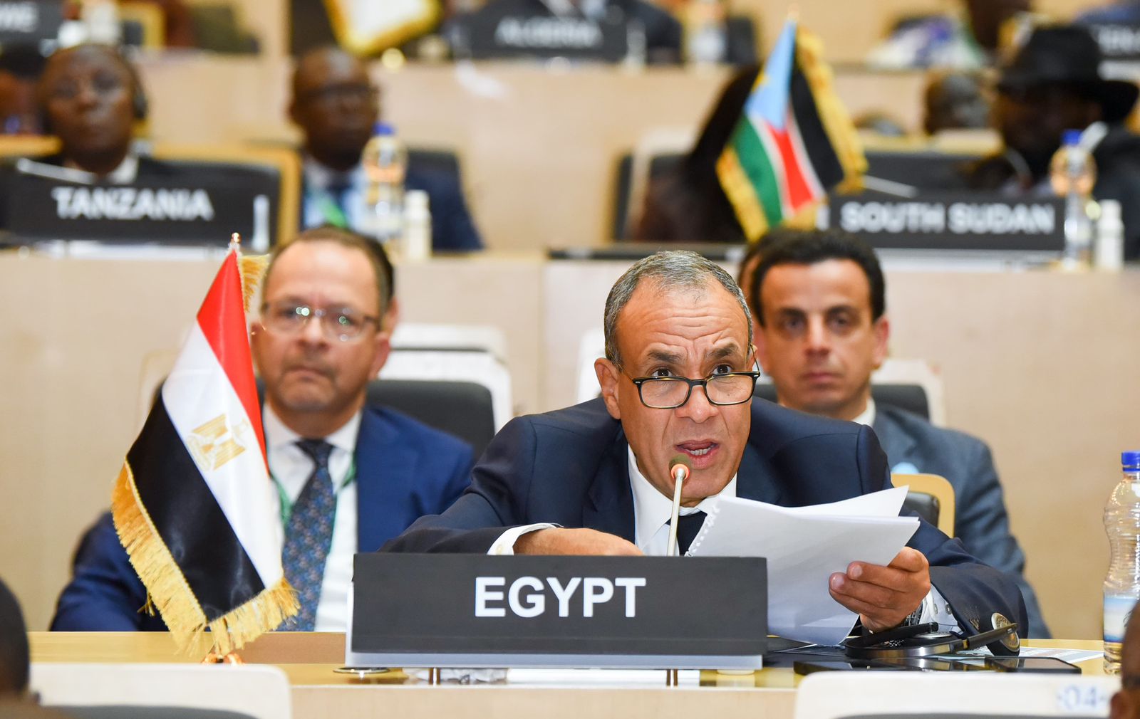 الدكتور بدر عبد العاطي وزير الخارجية