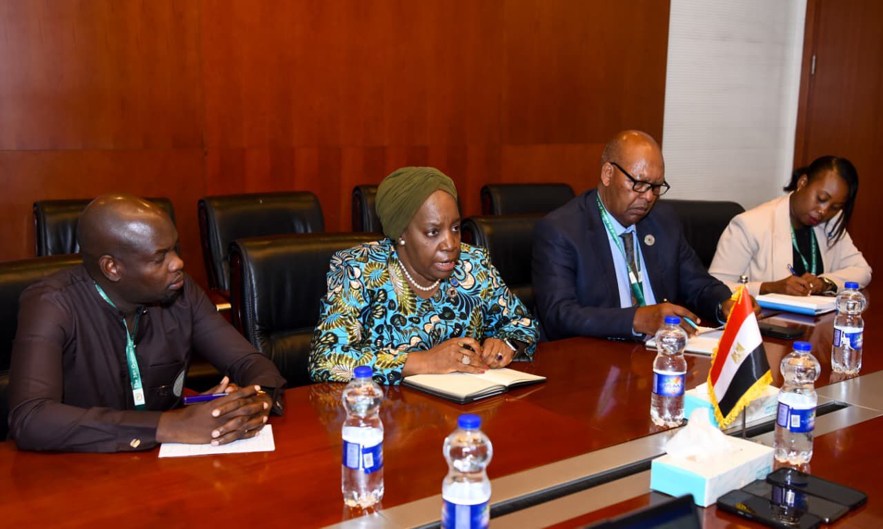 وزير الخارجية يلتقي الأمين العام للكوميسا