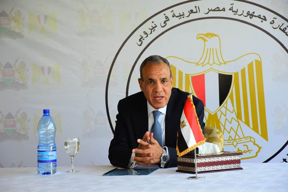 الدكتور بدر عبد العاطي وزير الخارجية