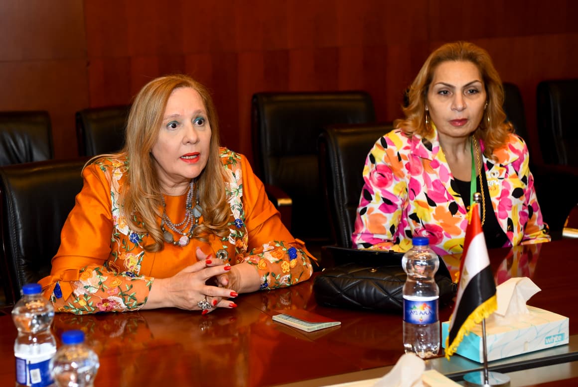 وزير الخارجية يلتقي رئيس مجلس الأعمال الأفريقي