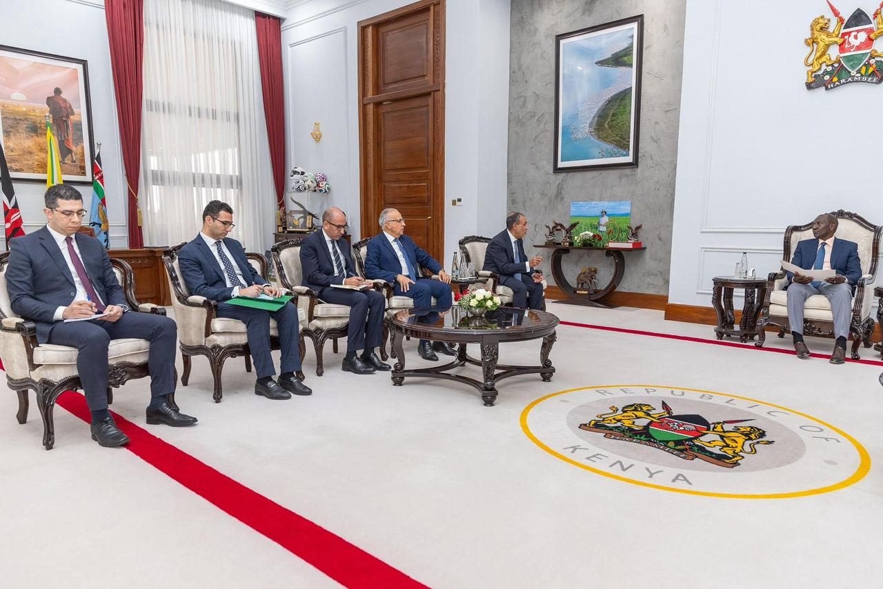 وزير الخارجية ووزير الموارد المائية والرى يلتقيان رئيس جمهورية كينيا