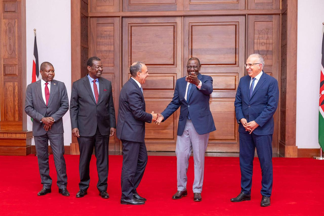 وزير الخارجية ووزير الموارد المائية والرى يلتقيان رئيس جمهورية كينيا