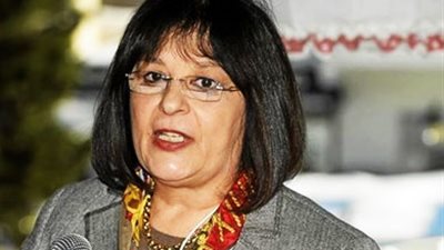 «البيئة» تلزم مصانع السويس بتركيب فلاتر لتقليل الانبعاثات السامة للفحم