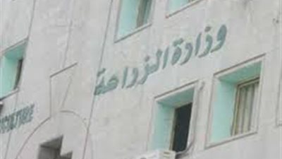 مديرية الزراعة بالمنيا: بدء حملة لمكافحة القوارض