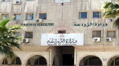 مصر تستضيف الأربعاء القادم الدورة 32 للجمعية العمومية لـ