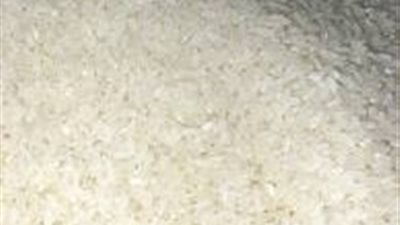 زيادة صادرات الأرز الإيطالي إلى 45 ألف طن داخل الاتحاد الأوروبى