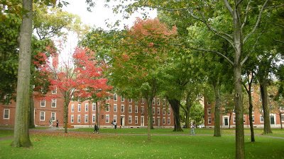 إرسال أول رسالة تليفون “برائحة” عابرة للقارات