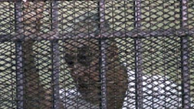 وصول سامح فهمي لمحكمة التجمع لحضور جلسة تصدير الغاز إلى إسرئيل