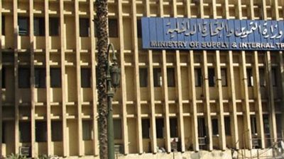 مصر تشتري 3.7 مليون طن قمح محلي والاحتياطي يكفي 6 أشهر