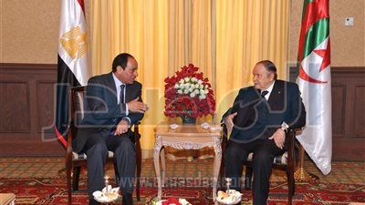السيسي: هناك تحديات مشتركة بين مصر والجزائر أهمها الإرهاب