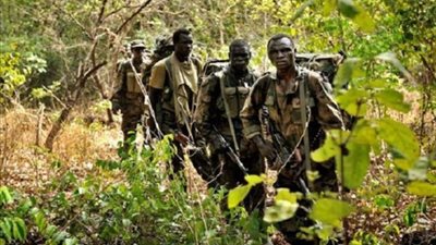 أوغندا تعلن عن مقتل أكثر من 60 مسلحا وتنشر قوات قرب منطقة نفط