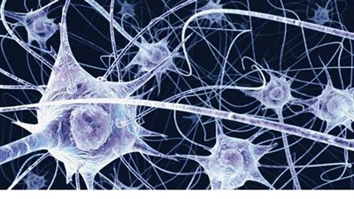 اليابان: علماء يتراجعون عن إعلان اكتشاف ثوري بالخلايا الجذعية