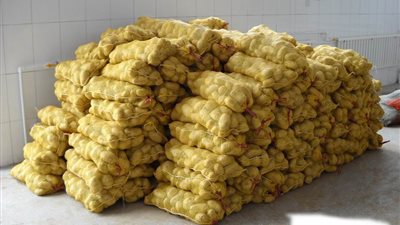 تراجع صادرات البطاطس بسبب تعنت بعض الدول