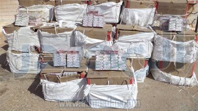 نشاط مكثف لقوات حرس الحدود على كافة الإتجاهات الإستراتيجية