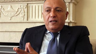 شكري: المبادرة المصرية لا تزال هى المطروحة