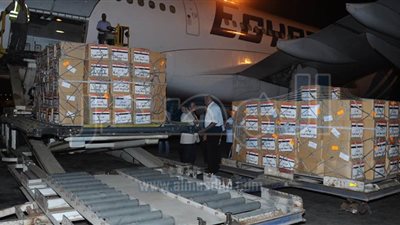 مصر ترسل مواد غذائية إلى المصريين العالقين على الحدود التونسية الليبية.