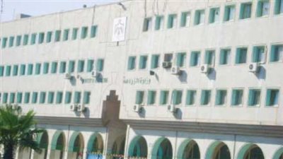 مصدر مسئول بالزراعة : لانية لرفع أسعار الأسمدة