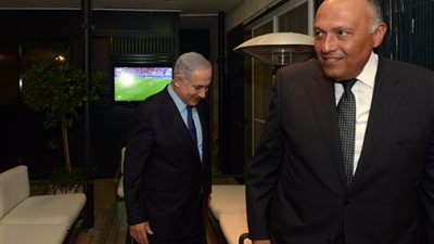 صور: سامح شكري يشاهد نهائي اليورو بصحبة 